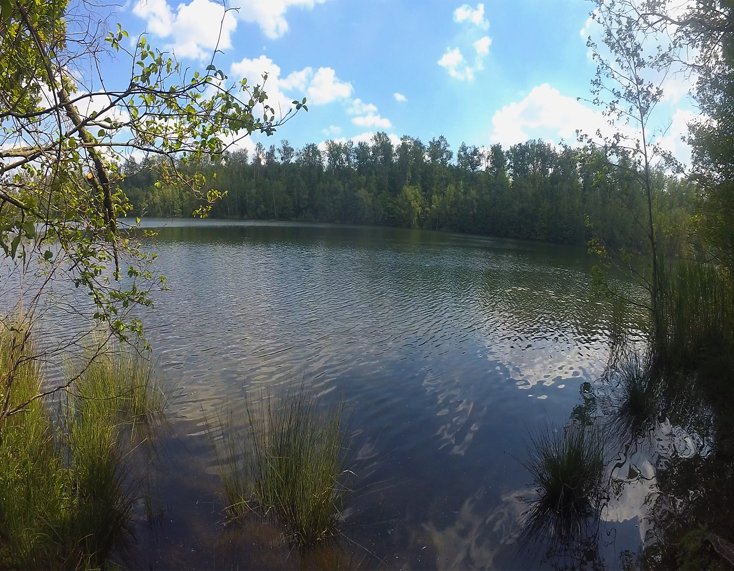 Dinnedahlsee