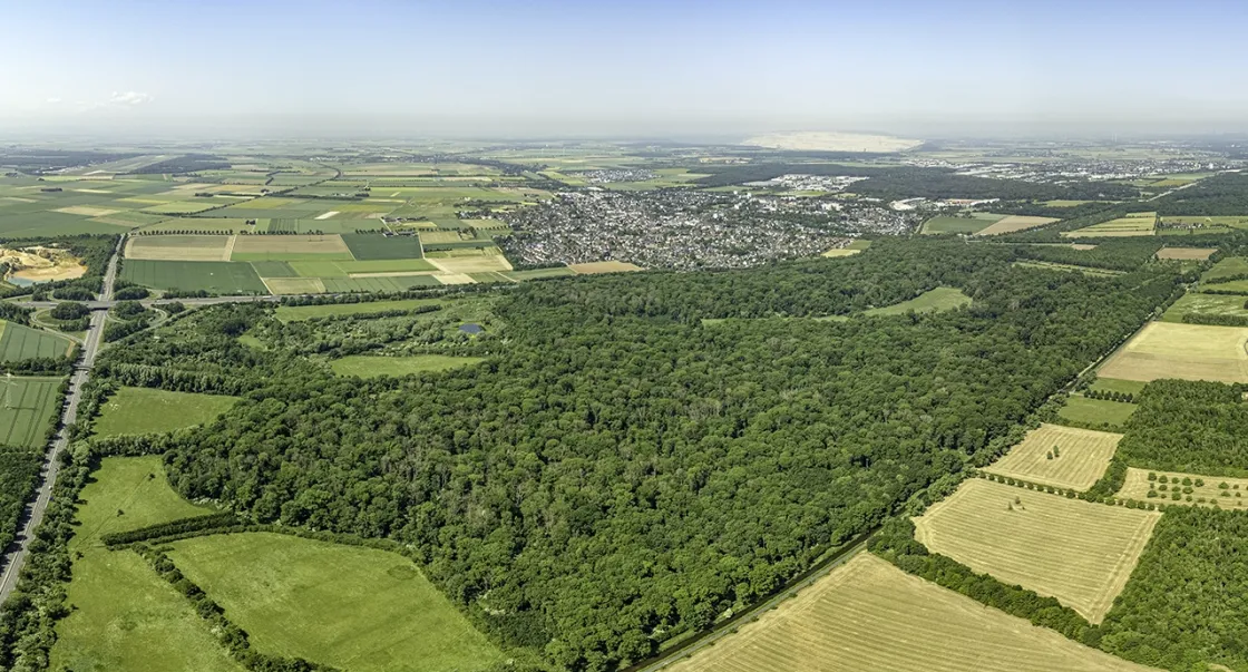 Swistmündung