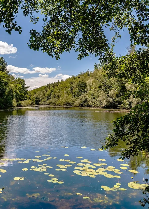 Heider Bergsee