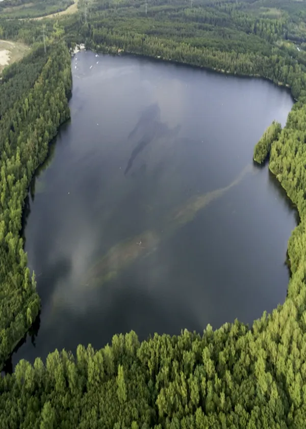 Bleibtreusee